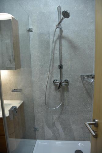 a shower with a glass door in a bathroom at Alpinaflat in Rosenheim
