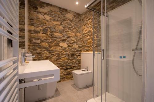 een badkamer met een toilet, een wastafel en een douche bij CASA DE ALDEA VAL DOS SOÑOS in Lugo