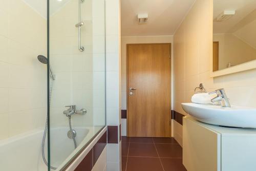 ein Bad mit einem Waschbecken und einer Dusche in der Unterkunft Villa Belica in Bohinj
