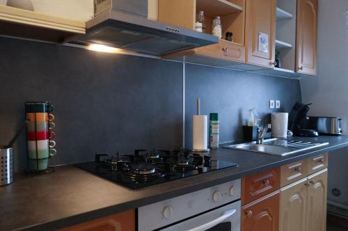 Fotografia z galérie ubytovania Le Savoureux, Duplex v destinácii Mulhouse