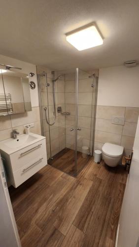 a bathroom with a shower and a toilet and a sink at Allgäunest in Leutkirch im Allgäu