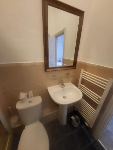 uma casa de banho com um WC, um lavatório e um espelho. em Alma place A2 em Plymouth