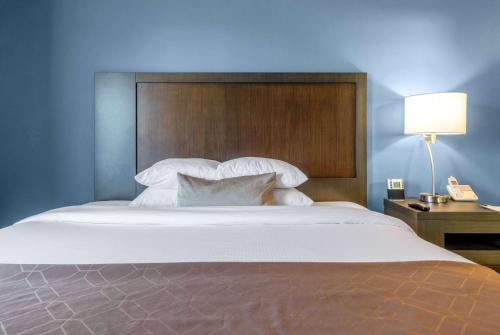 a bedroom with a large bed with a blue wall at Wingate by Wyndham Chicago Schaumburg in Schaumburg