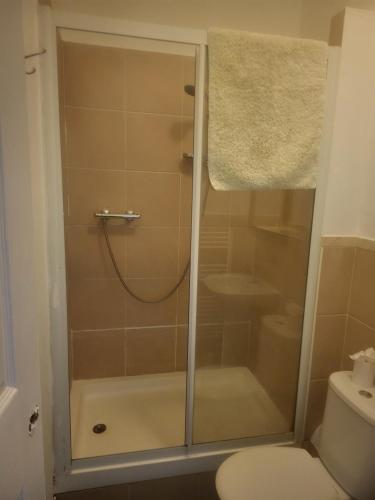 um chuveiro com uma porta de vidro na casa de banho em Alma place A2 em Plymouth