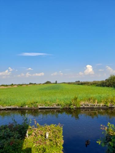 a field and a river with green grass at Wuivend Riet gelegen op Resort Venetie in Giethoorn