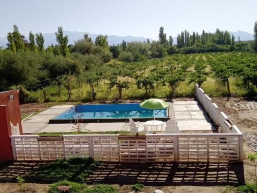 a swimming pool with an umbrella and a chair and sidx sidx sidx at HOTEL FINCA AMANCAY in Villa Unión