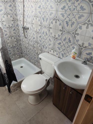 a bathroom with a toilet and a sink at OmShanti in Puerto Varas