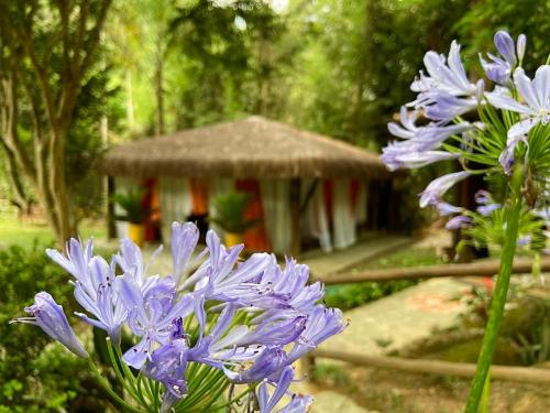 a group of purple flowers in front of a gazebo at Espaço Viverde Penedo in Penedo