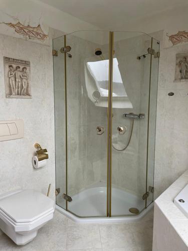 a bathroom with a shower and a toilet at Weitblick auf Berg, Wald und Wiese in Schmallenberg