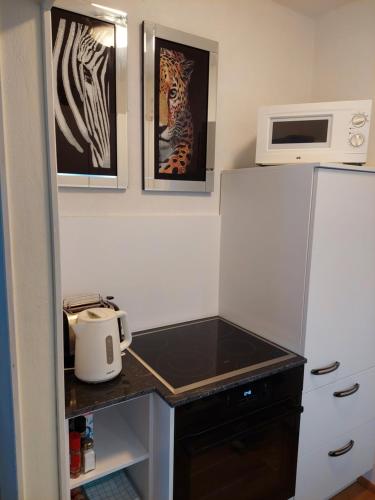Apartment Nannerl