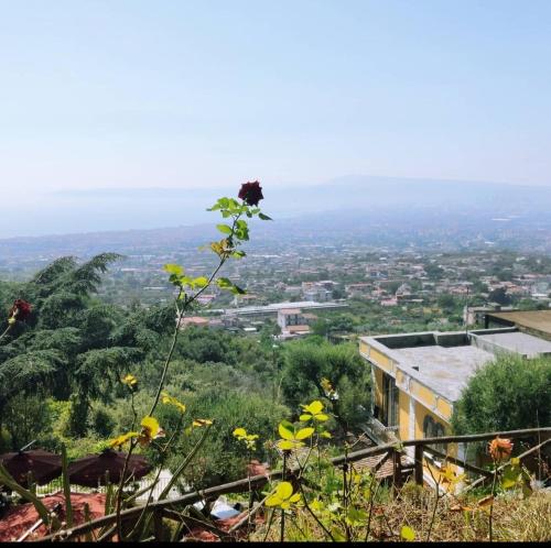 a view of a city from the top of a hill at La Dimora le Fumarole Rooms in Ercolano