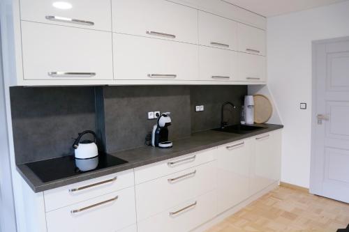 Virtuvė arba virtuvėlė apgyvendinimo įstaigoje Aparthotel Brokeš