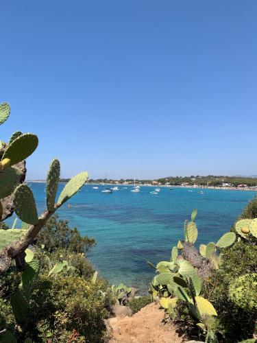 Baia Azzurra 300mt dal mare – Photos 5