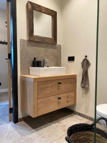 a bathroom with a sink and a mirror at Gastenverblijf Bie Zus in Buggenum