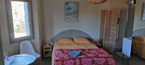 a bedroom with a bed and a window at CHAMBRE SPACIEUSE DANS MAISON ART DECO au CENTRE DE TOULOUSE in Toulouse