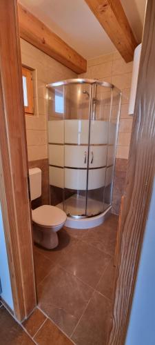 a bathroom with a shower with a toilet in it at Wine Panorama house in Jastrebarsko