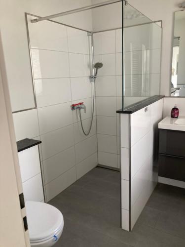 a bathroom with a shower and a toilet and a sink at Küstenbude Glück in Grömitz
