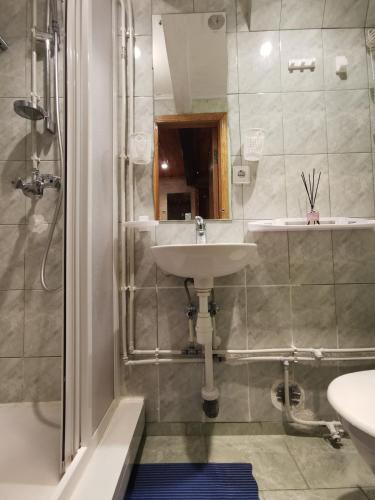 a bathroom with a sink and a shower at Apartamentai Vasara in Juodkrantė