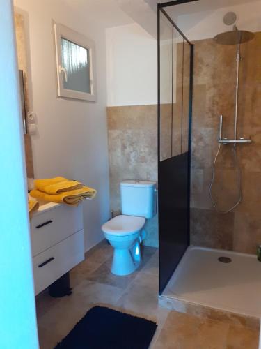 een badkamer met een toilet en een glazen douche bij La Sapiniére -chambres climatisées in Buisson