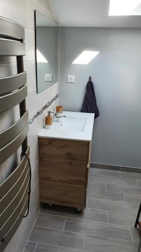 ein Bad mit einem Waschbecken und einem Spiegel in der Unterkunft Studio au centre du triangle Reims-Epernay-Chalons 