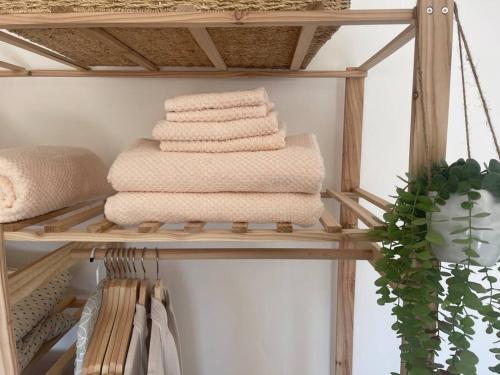 a stack of towels on a shelf with a plant at Sunnyside at Scurlage Farm in Swansea