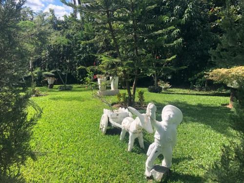 um par de estátuas brancas sentadas na relva em Rancho Jacob By Hospedify Preciosa Villa campestre con un amplio patio hermoso jardín cómodo gazebo y piscina em Jarabacoa