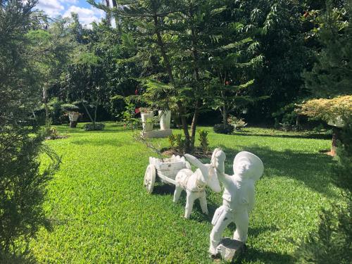 Fotografie z fotogalerie ubytování Rancho Jacob By Hospedify Preciosa Villa campestre con un amplio patio hermoso jardín cómodo gazebo y piscina v destinaci Jarabacoa