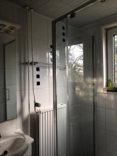 a bathroom with a glass shower and a sink at Vredig Toeven in Klaaswaal