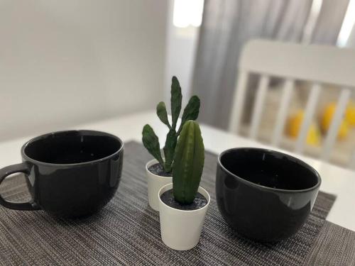  Private Room&Bath (WiFi Netflix) -  Room  picture :   Tea/Coffee maker    Air conditioning    Hot tub                       