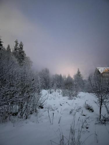 a snow covered field with trees and a house at Готель Жди ня Єво instagram zhdenievo hotel in Zhdenievo