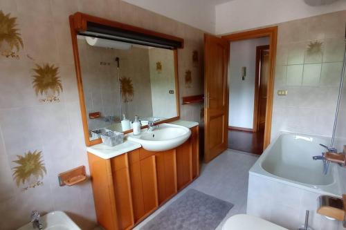 La salle de bains est pourvue d'un lavabo, de toilettes et d'une baignoire. dans l'établissement Casa Pie' di Monte, à Bisegna