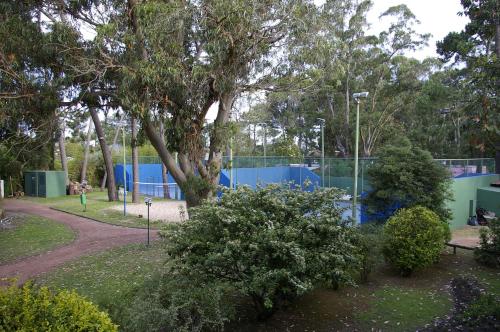a park with a tree and a blue fence at Rincon del Este Resort in Punta del Este