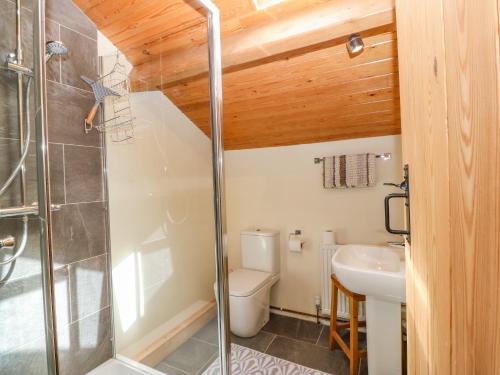 a bathroom with a shower and a toilet and a sink at Bryn Derwen in Caernarfon