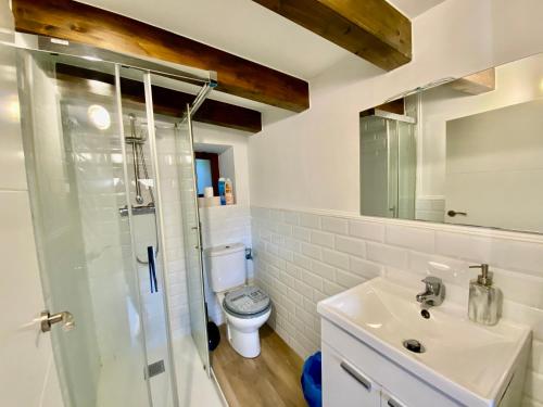 y baño con aseo, lavabo y ducha. en Apartamentos via street en Hinojedo