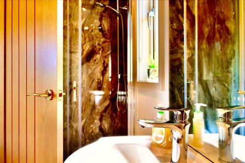 ein Bad mit einem Waschbecken und einer Dusche in der Unterkunft Arbennig Luxury Lodges in Mold