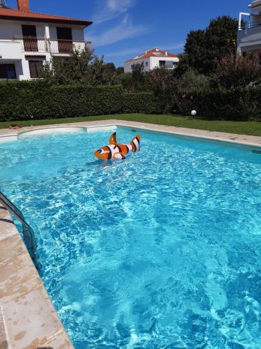 Appt CASA KOKKA – Photos 3