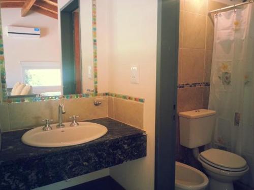 a bathroom with a sink and a toilet at AMALIA in Neuquén