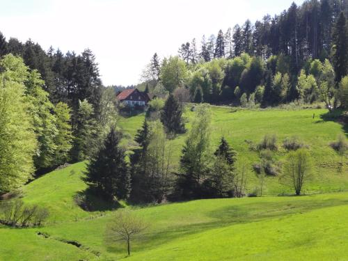 ein grünes Feld mit einem Haus auf einem Hügel in der Unterkunft ruhiges Wohnen am Lama und Maine Coon Hof in Alleinlage in Biederbach 3 Zimmer mit Kochgelegenheit Bad 