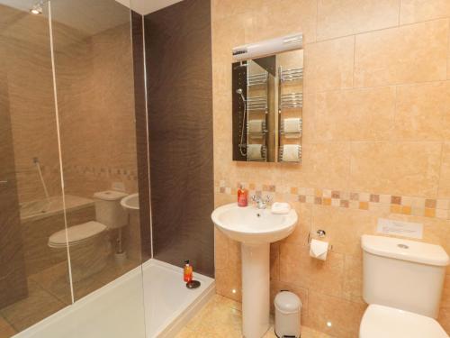 ein Badezimmer mit Toilette, Waschbecken und Dusche in der Unterkunft Home Stead Cottage in Embleton