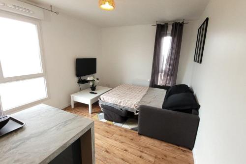 TV a/nebo společenská místnost v ubytování Logement entier : appartement