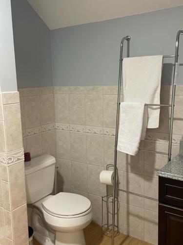 a bathroom with a white toilet and a shower at Comfortable loft with private bathroom in Boston