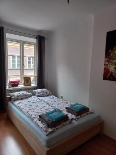 Posteľ alebo postele v izbe v ubytovaní Apartament Old Town Piwna