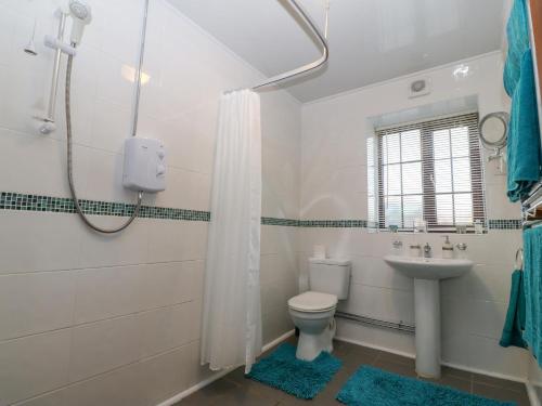a bathroom with a toilet and a sink at Trem Y Wyddfa in Gaerwen
