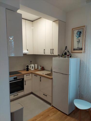 Η κουζίνα ή μικρή κουζίνα στο Apartman Mia Banjaluka