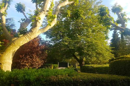 a tree in a park with a bench under it at Bastide en Provence in Auriol