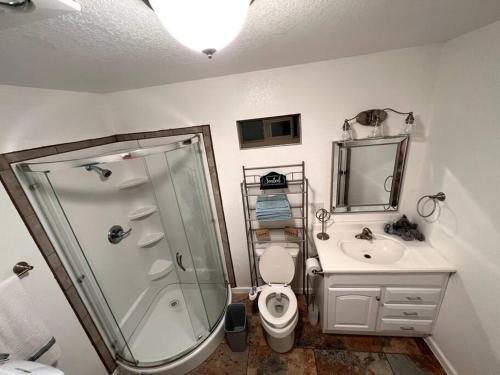 a bathroom with a shower and a toilet and a sink at The Heart Of Cruces in Las Cruces