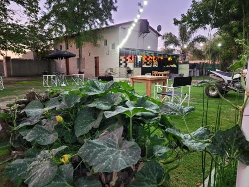 un jardin avec de grandes plantes vertes devant un bâtiment dans l'établissement Cabañas De Cero, à Mercedes