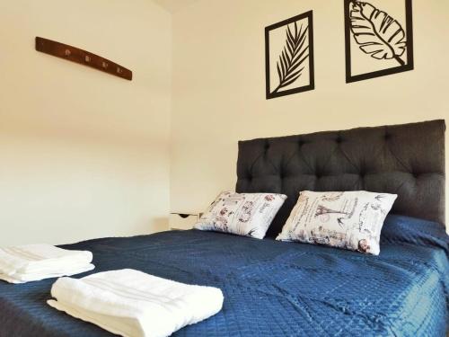 1 dormitorio con 1 cama azul y 2 almohadas en Ubicacion Aristides Parque en Mendoza