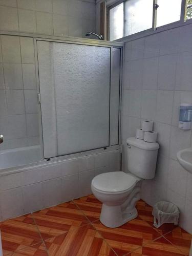 a bathroom with a toilet and a shower and a sink at Espiral Turquesa Cabañas y Departamentos in Melipeuco