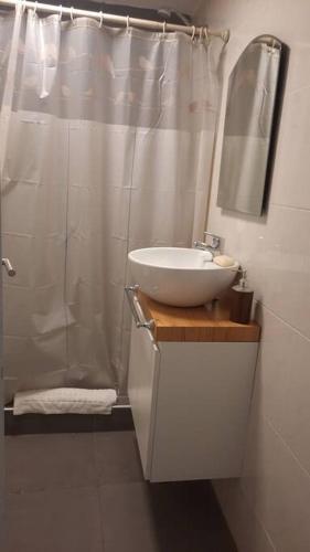 a bathroom with a sink and a shower with a mirror at Loft con patio - Lamadrid in San Miguel de Tucumán